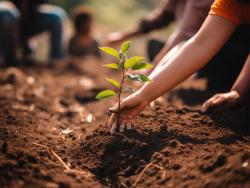 <a href="https://www.vecteezy.com/free-photos/tree-planting">Tree Planting Stock photos by Vecteezy</a>