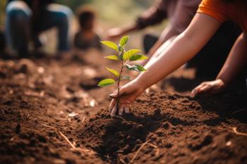 <a href="https://www.vecteezy.com/free-photos/tree-planting">Tree Planting Stock photos by Vecteezy</a>